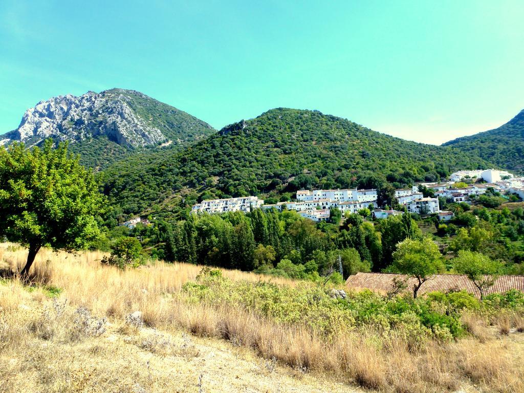 Casa Rural El Aljibe 贝纳马奥马 外观 照片