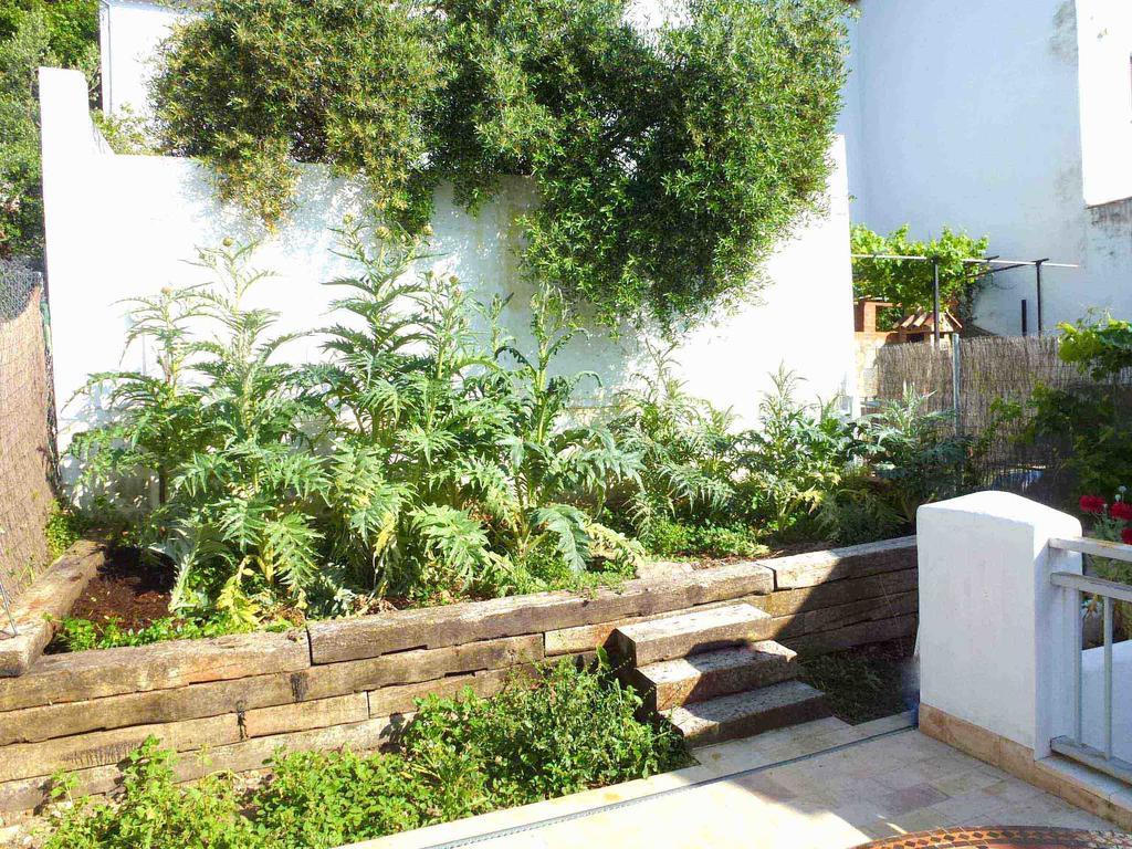 Casa Rural El Aljibe 贝纳马奥马 外观 照片